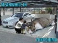 Fukushima
