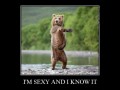I am sexy and i know it