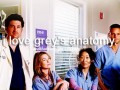 Greys anatomy