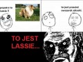 Lassie