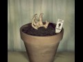 Growing dead