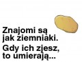 Jak ziemniaki