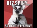 Bez spiny