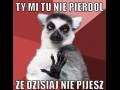 Lemur wie lepiej