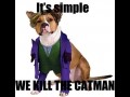 Catman
