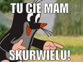 Krecik