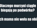 Murzyni