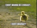 Nugget