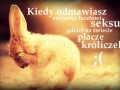 Nie odmawiaj