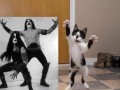 Immortal