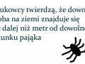 Dobrej nocy dziewczyny