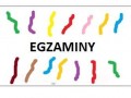 Egzamin gimnazjalny