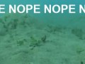 Nope