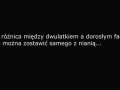 Dwulatek