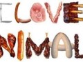 I love animals