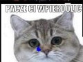 Lecimy ci wpierdolić