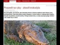 Ocieplenie klimatu