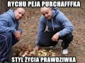 Peja