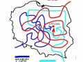 Plan objazdowy