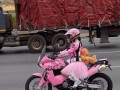 Pink rider