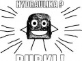 Rurki