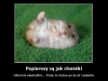 Papierosy jak chomiki