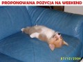 Proponowana pozycja na weekend