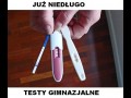 Testy gimnazjalne