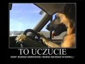 Szczekanie