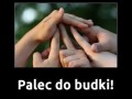 Palec do budki