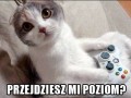 Przjdziesz mi