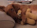 So cute