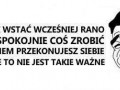 Plany