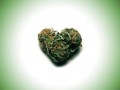 Peace and love