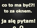 Wtf za oknem