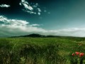 Tapeta na Pulpit - Łąka