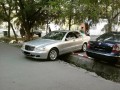Mistrz parkowania