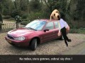 Gangnam Style po polsku
