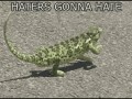 Kameleon