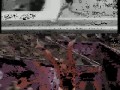 54 Lata