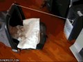 Poziom ojcostwa linux