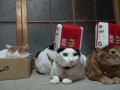 Bigmac