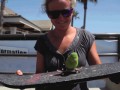Skate chick
