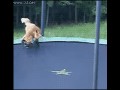 Na trampolinie