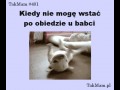 Obiad u babci