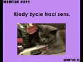 Kiedy zycie traci sens