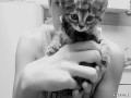 Rawr