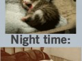 My life