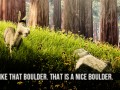 Boulder