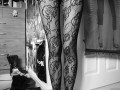 Legs 
